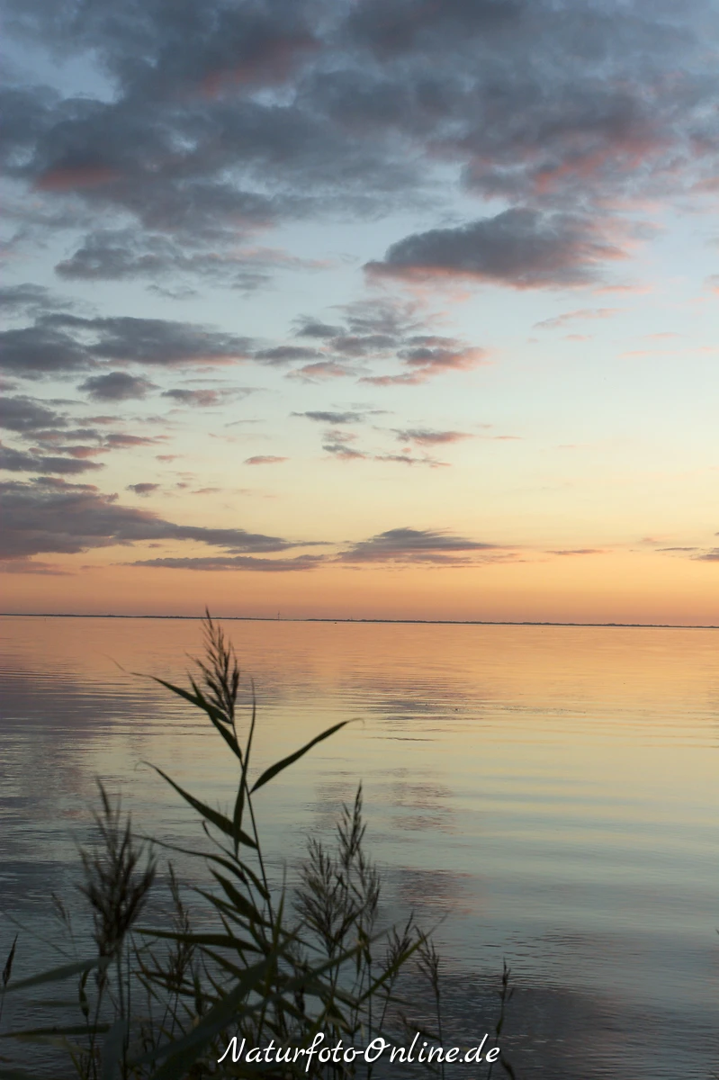 Ringköbing Fjord, Dänemark