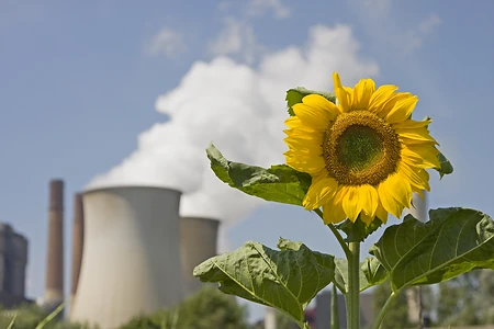 Kraftwerk Eschweiler mit Sonnenblume