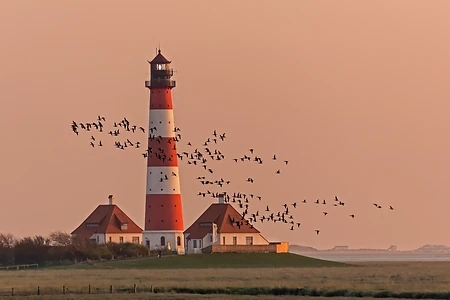 Leuchtturm Westerheversand, Westerhever, Eiderstedt, Nordfriesland, Schleswig-Holstein, Deutschland
