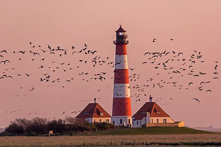 Lighthouses