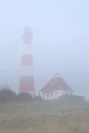 Leuchtturm Westerheversand im Nebel, Westerhever, Eiderstedt, Nordfriesland, Schleswig-Holstein, Deutschland